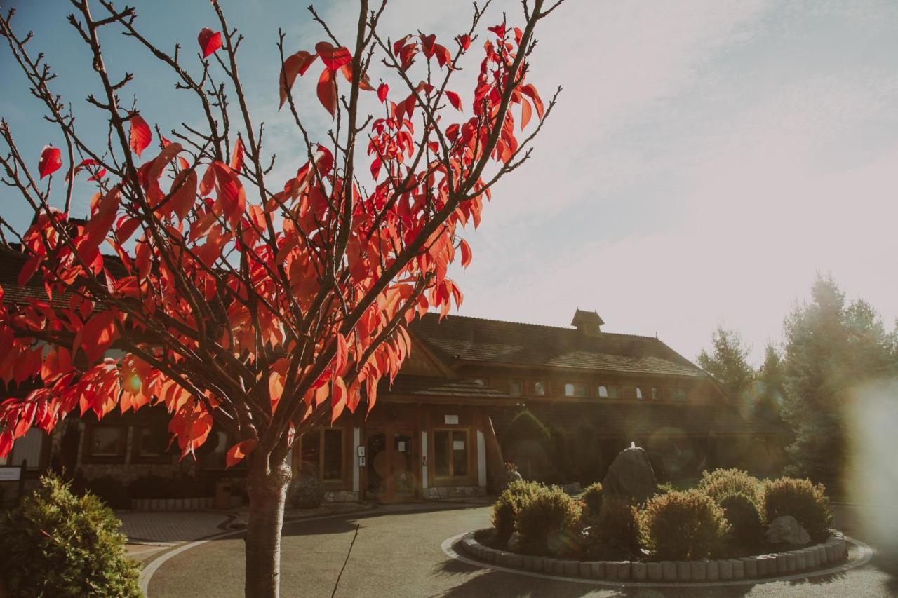 Bajka Hotel & Resort Grodziec Exterior photo